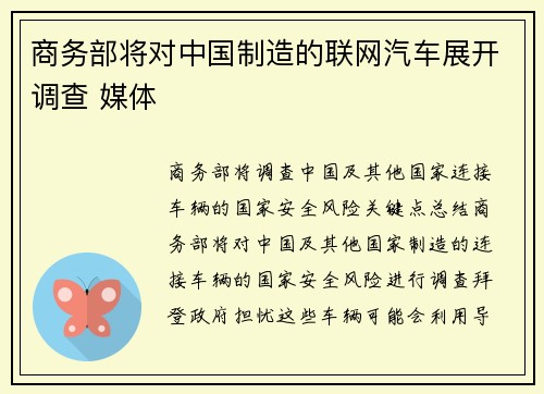 商务部将对中国制造的联网汽车展开调查 媒体