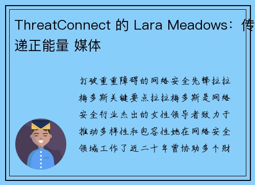ThreatConnect 的 Lara Meadows：传递正能量 媒体